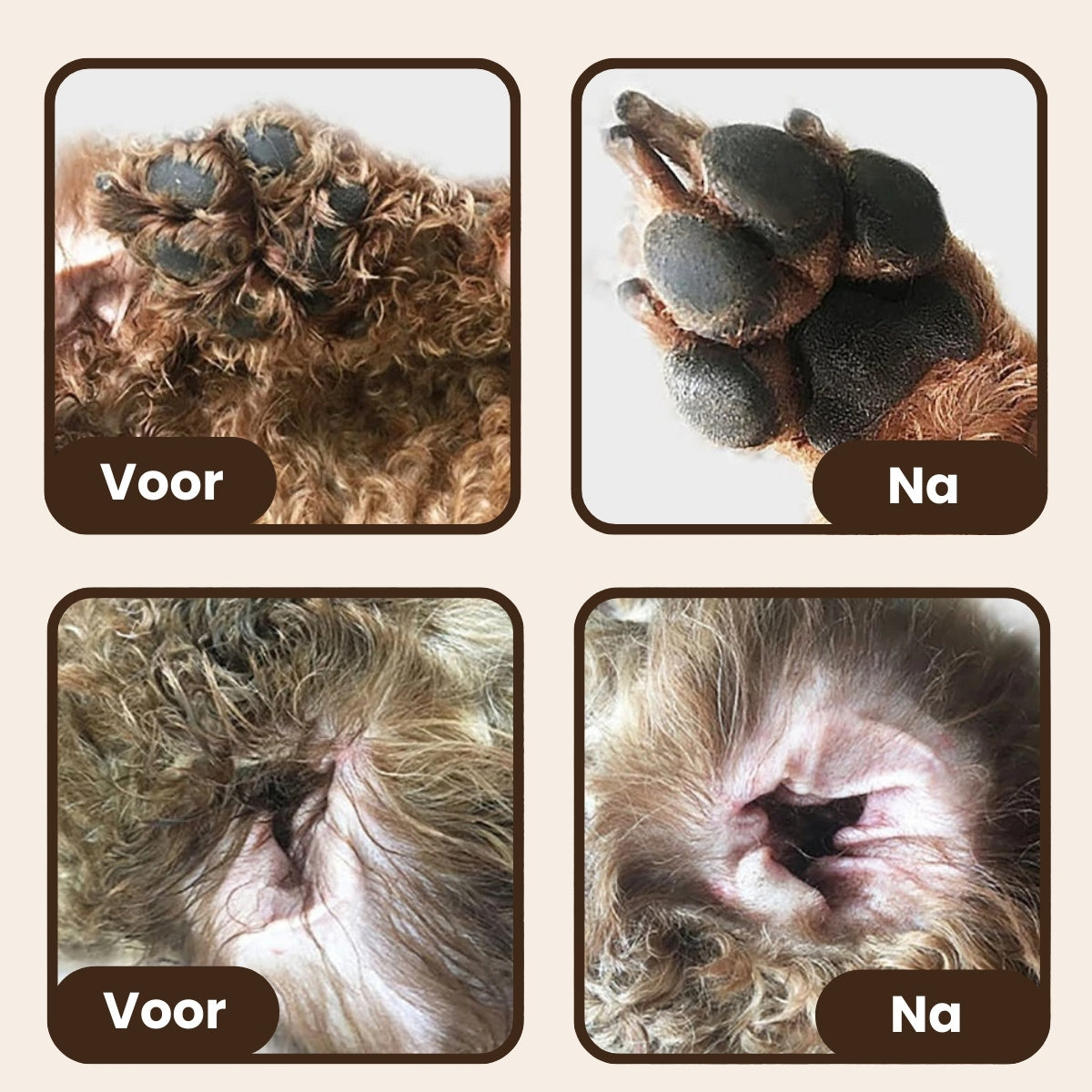 Precisie Trimmer voor Huisdieren