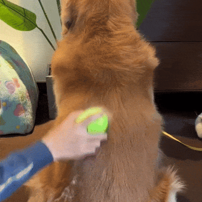 Vachtverzorgings Borstel voor Huisdieren