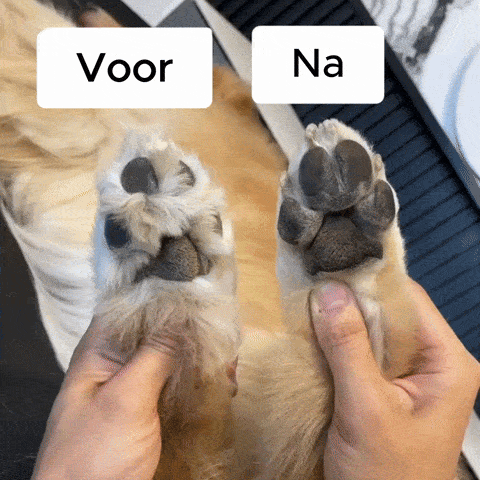 Precisie Trimmer voor Huisdieren